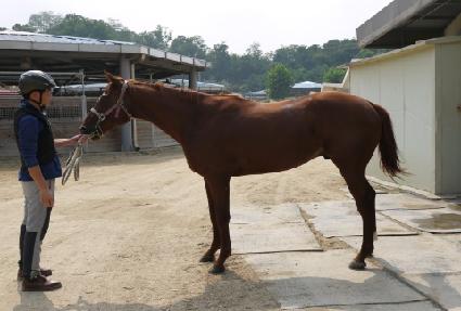 ���̾�� ����