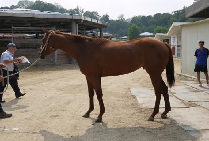 ����Ʈ�� ����