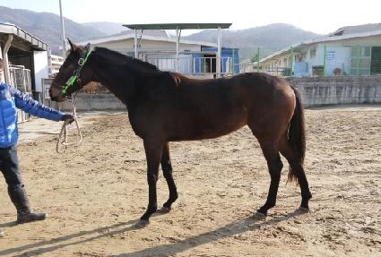 ���丮�ƻ�� ����