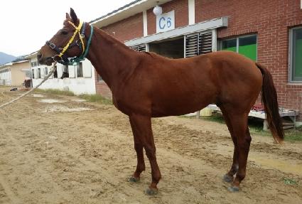 �ε���� ����