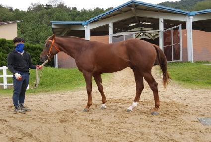 ���̺����� ����