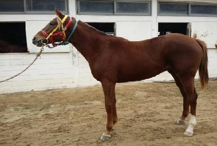 �ο���Ʈ ����