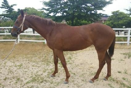 ��ġ��Ʈ ����