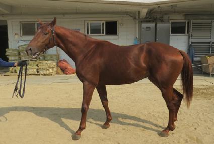 ���� ����