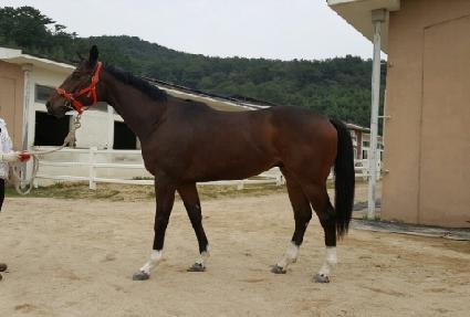 ������ ����