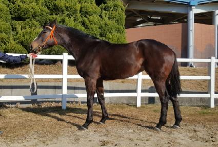 �ٷγ׽� ����