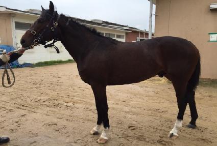 Ŀ������ ����