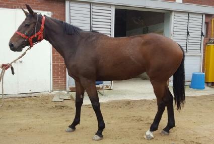 �ظ�� ����