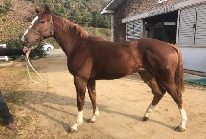 °���� ����