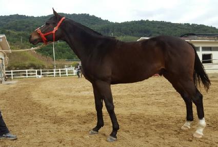 �����Ͼ����� ����