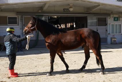 �����Ѿ� ����