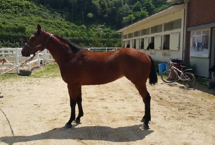 ���ٵ��� ����