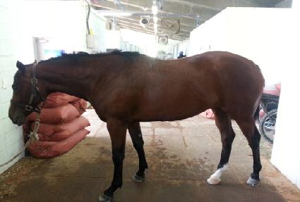 �Ʒ��� ����