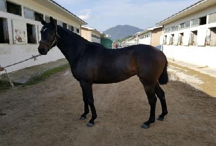 Ǯ�Ͽ콺 ����