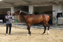 �����Ѽ��� (YEONGWONHAN SUNGAN) ����