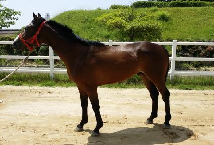 ���̽����丮 ����