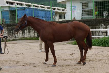 ��ƿ�� ����