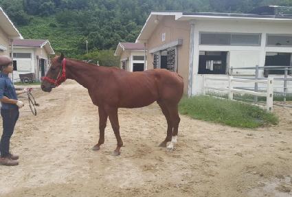 ���̴���ŷ ����