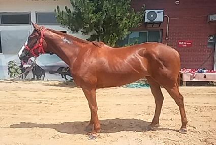 ����Ÿ�� ����