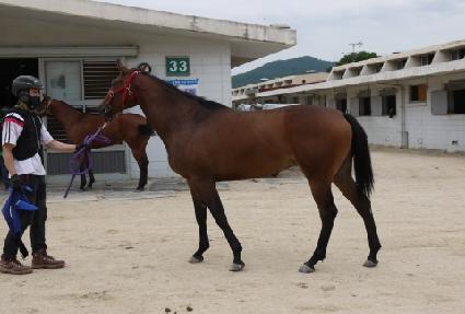 ����ī�� ����