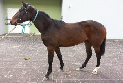 ������� ����