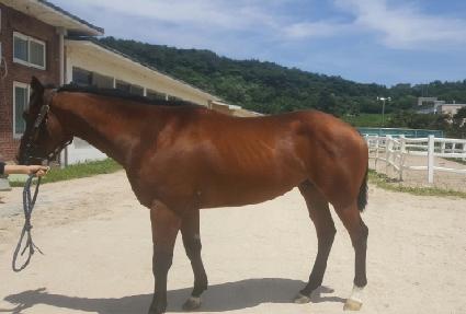 �����ѱ��� ����