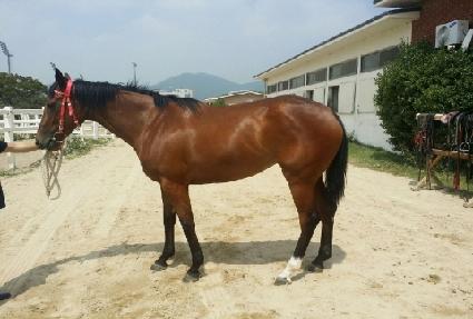 �����ǵ��� ����