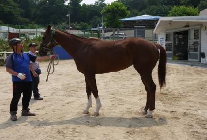 Ŭ������ī�� ����