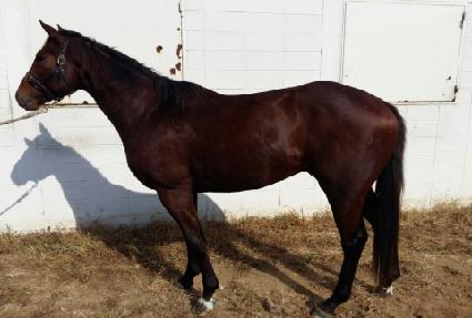 ����Ư�� ����