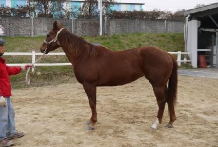 ������Ʈ�� ����