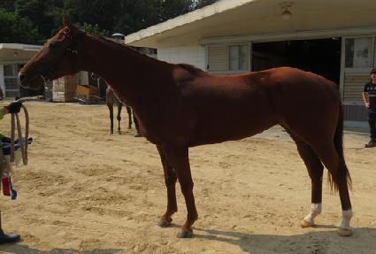 �ο���ü�� ����