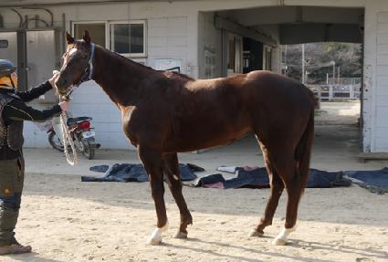 �������ϴ� ����