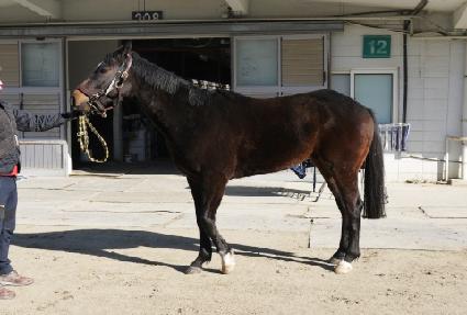 �������� ����