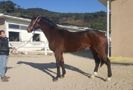 ��������̵� ����