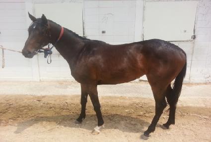 ����ũ������ ����