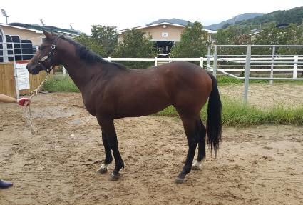 ���̿����� ����