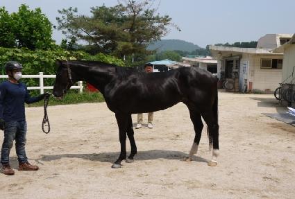 ��Ʈ���� ����