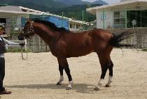 �����޷� (MAMKKEOT DALYEO) ����