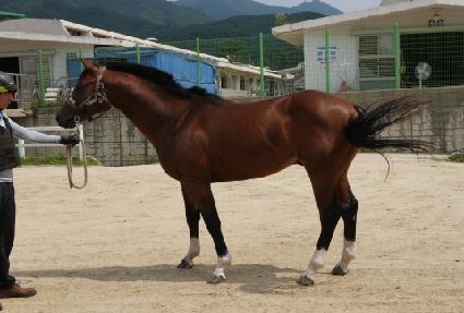 �����޷� ����