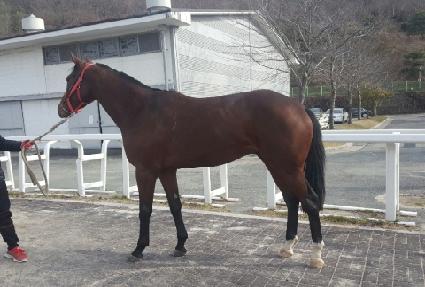 �׷���Ʈ���� ����