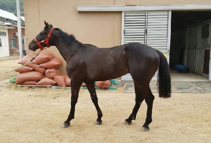 ��Ʈ�� ����