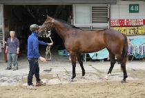 ���°���Ʈ (OPEN GATE) ����