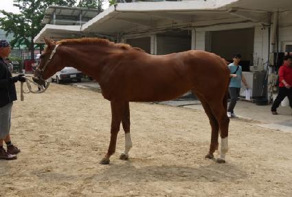 �����Ǽ��� ����