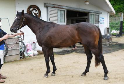 �ӱݴ�ǥ��õ ����