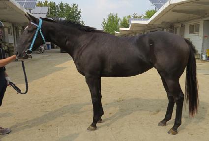 �Ⱦ�ǻ�� ����