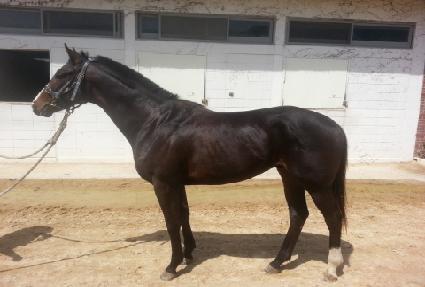 �ٶ�´�� ����