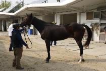 Ŀ��Ĺ (COFFEE CAT) ����