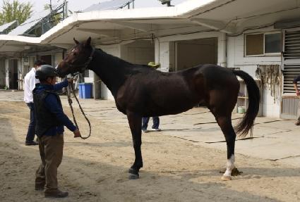 Ŀ��Ĺ ����