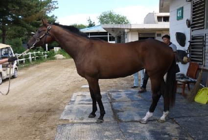 ��Ʈ��è�� ����