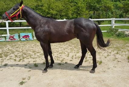 ���ִ��� ����